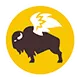 Buffalo-Wild-Wings-Footer-Logo